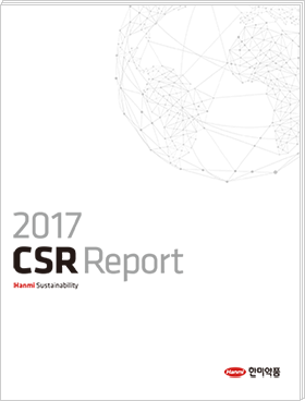 2017 Report